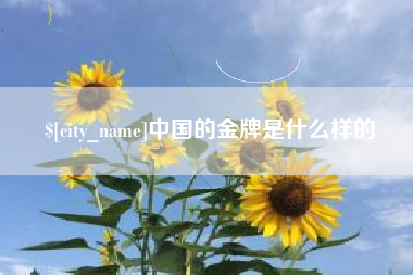 成都中国的金牌是什么样的