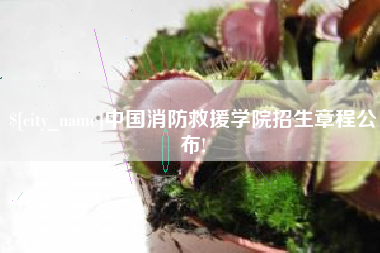 成都中国消防救援学院招生章程公布!