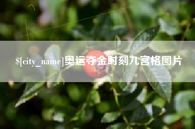 成都奥运夺金时刻九宫格图片