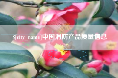 成都中国消防产品质量信息