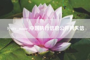 成都中国执行信息公开网失信