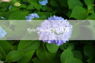 成都2022九宫
