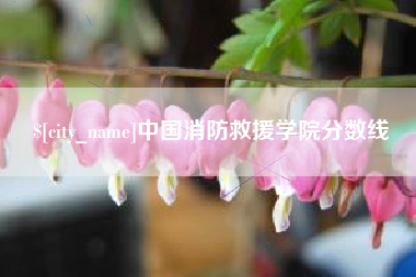 成都中国消防救援学院分数线
