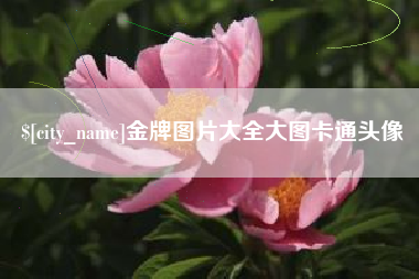 成都金牌图片大全大图卡通头像