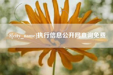 成都执行信息公开网查询免费