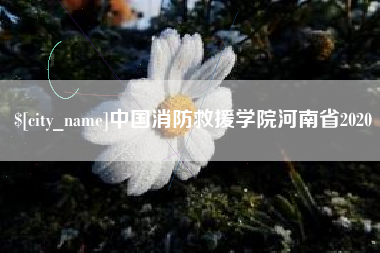 成都中国消防救援学院河南省2020